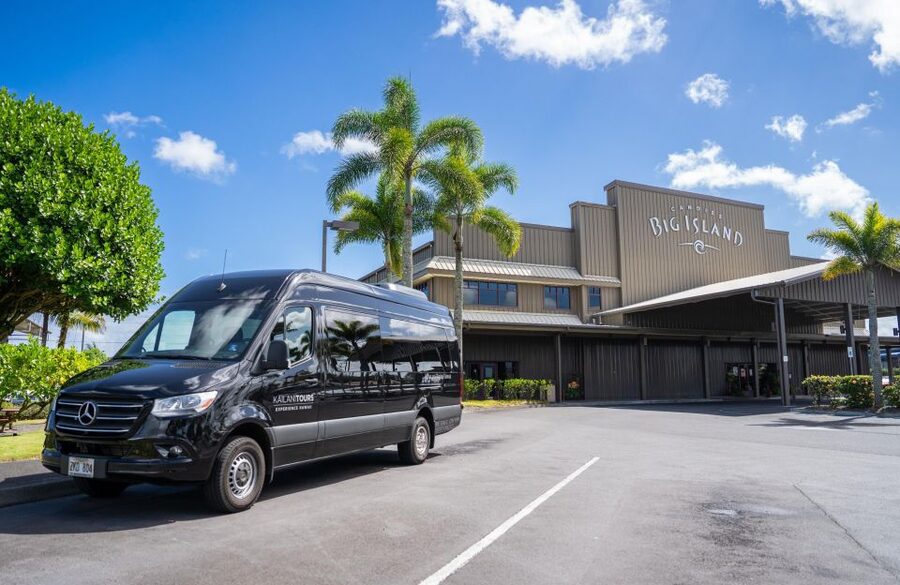 Big Island: Coffee, Black Sand, Volcano and Waterfall Tour - Guides are the heart of the experience