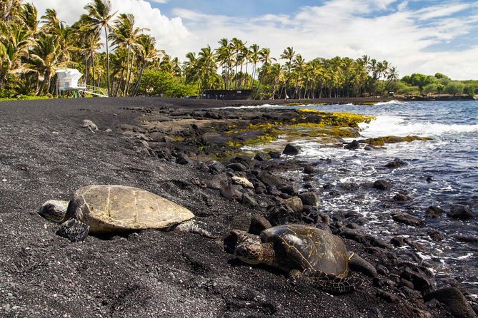Big Island Highlights: Coffee, Volcano, Black Sands & Waterfall - Key points to know before booking
