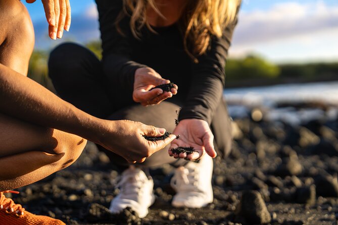 Big Island Highlights: Coffee, Volcano, Black Sands & Waterfall - Hawaiʻi Volcanoes National Park and Thurston Lava Tube