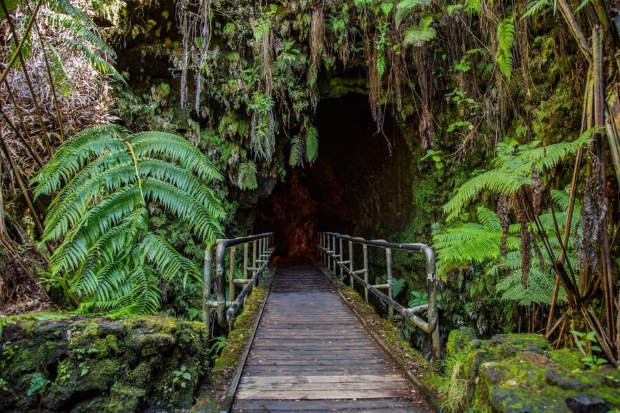 Big Island: Volcanoes, Waterfalls, & Coffee Farm Day-Trip - Guides, transport, and the human side of the day