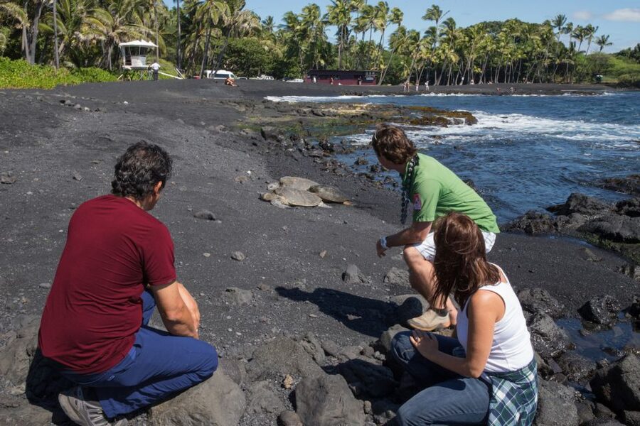 Big Island: Volcanoes, Waterfalls, & Coffee Farm Day-Trip - Waipio Valley and the Hamakua coast