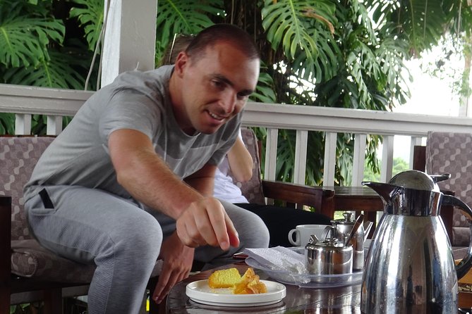 Blue Mountain Coffee and Sightseeing Tour - From Kingston to the cooler Blue Mountains