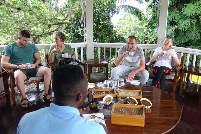 Blue Mountain Coffee and Sightseeing Tour - Four hours in Blue Mountain National Park