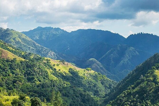 Blue Mountain Coffee, Bob Marley and Art Tour from Montego Bay - Who will enjoy this day most