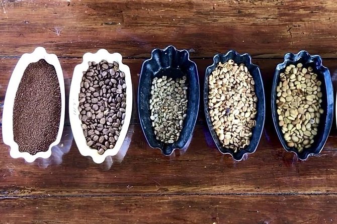 Blue Mountains Coffee Private Tour from Kingston - Key things to know before you book