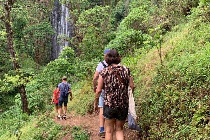 Bodaboda Experience to Materuni Waterfall and Coffee Tour - Who will enjoy this Materuni outing most