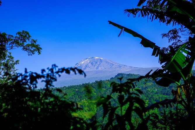 Bodaboda Experience to Materuni Waterfall and Coffee Tour - Should you book the Materuni bodaboda experience?