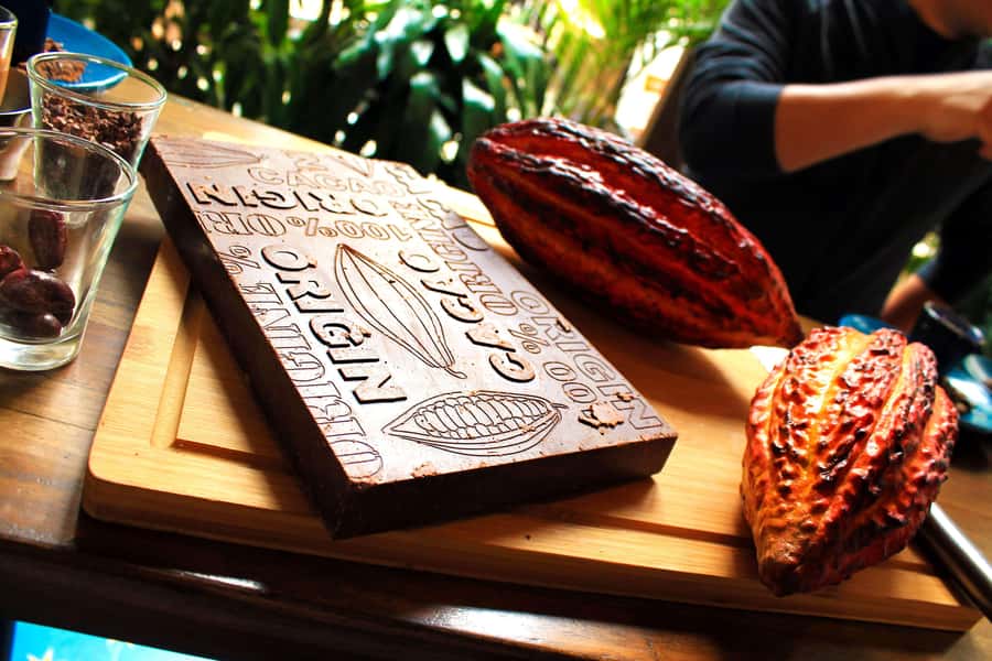 Bogotá: Candelaria Tour with Cacao and Coffee Workshop - What the $116 price means