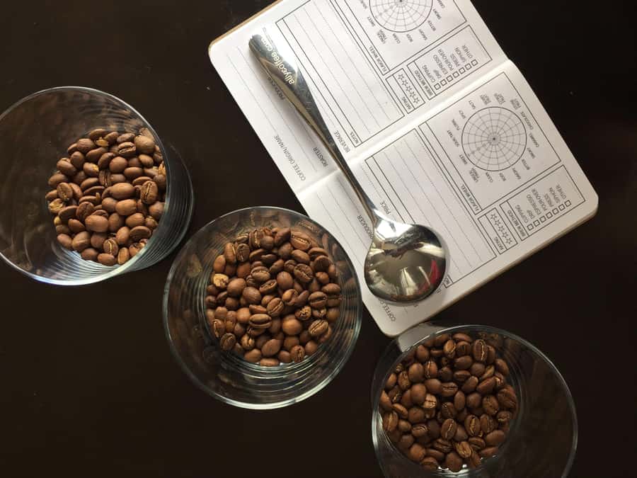 Bogotá: Experience of a coffee competition - Learning how a competition judge scores coffee