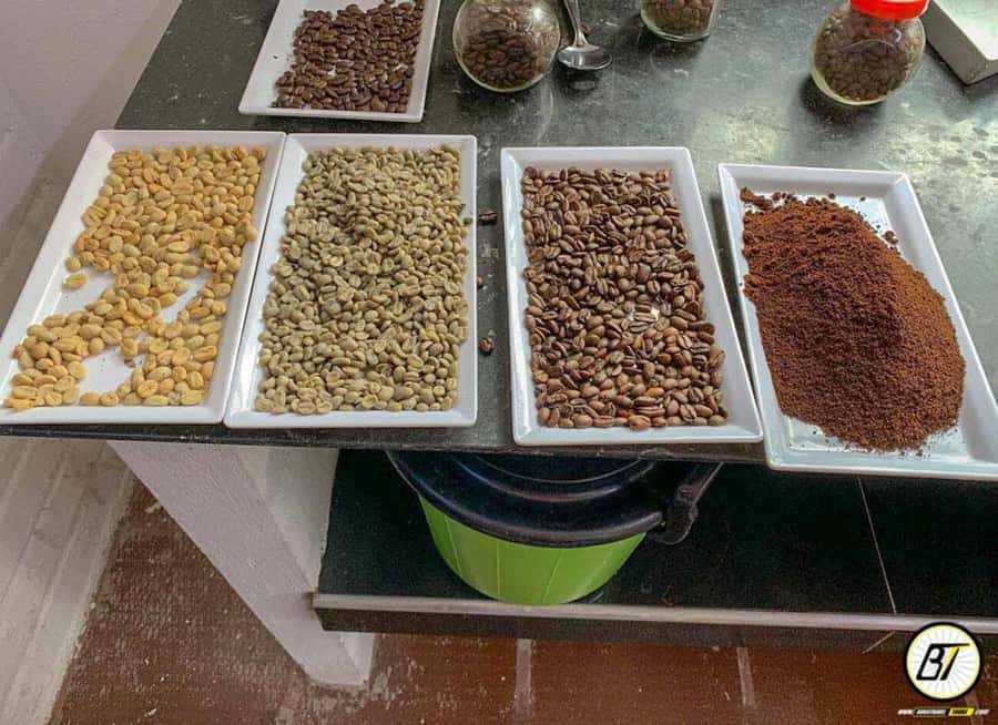 Bogotá: Guided Coffee Tour with Lunch, and Pickup & Drop-Off - Pulping, Drying, and Roasting at the Plantation