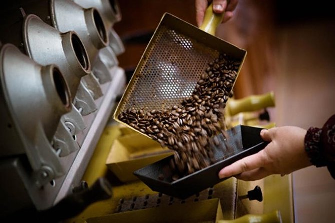 Britt Coffee Tour from San José - From a tiny seedling to a finished cup