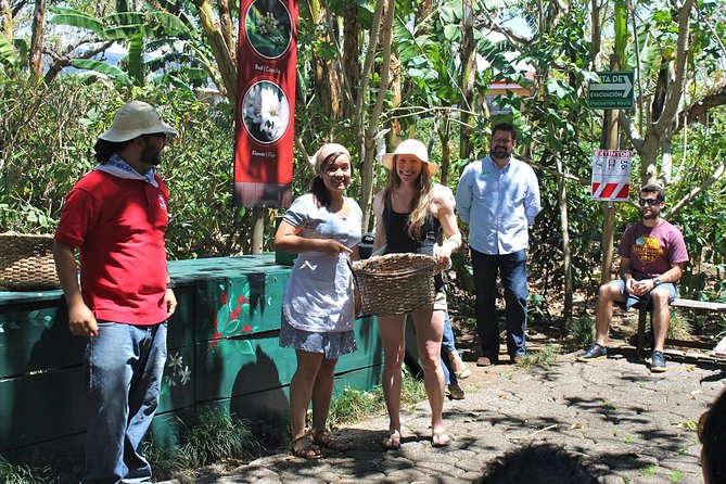 Britt Coffee Tour from San José - Guides make or break the morning
