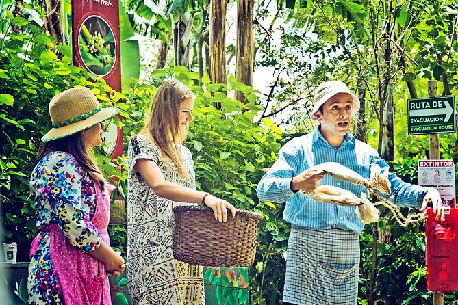 Britt Coffee Tour from San José - Walking, weather, and what to bring
