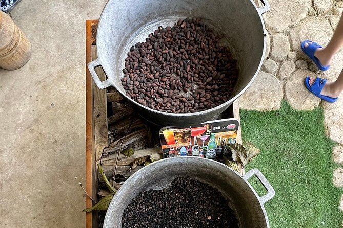 Buggy Adventure Tour with Chocolate and Coffee in Punta Cana - Key points to know before you book