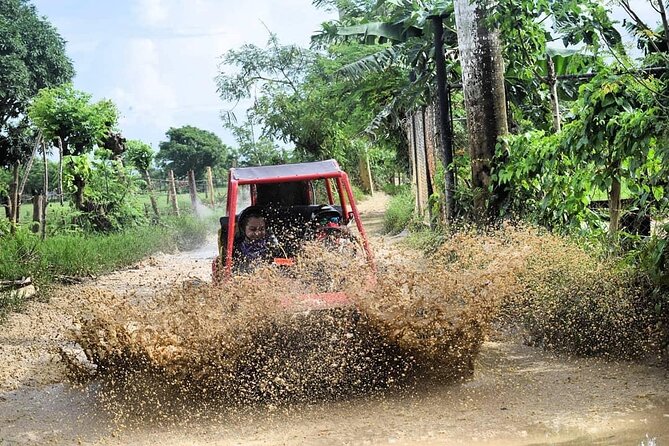 Buggy Off-Roading with Chocolate and Coffee Tasting in Punta Cana - Who should book this Punta Cana excursion