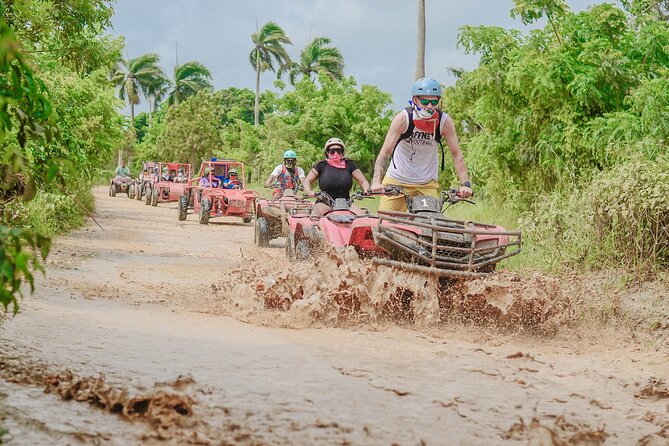 Buggy Ride Into the jungle with cave coffee & chocolate tasting - What the $53 price really gets you