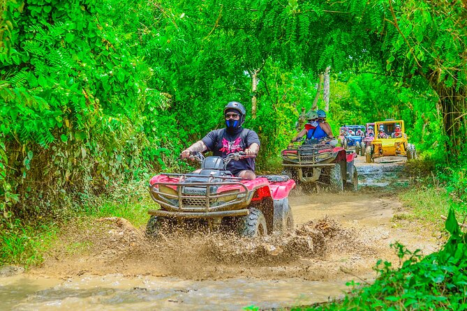 Buggy Ride Into the jungle with cave coffee & chocolate tasting - The cave swim and clear water