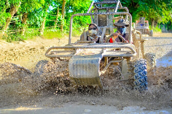 Buggy Ride with Cenote Coffee and Chocolate Tasting - Key points at a glance