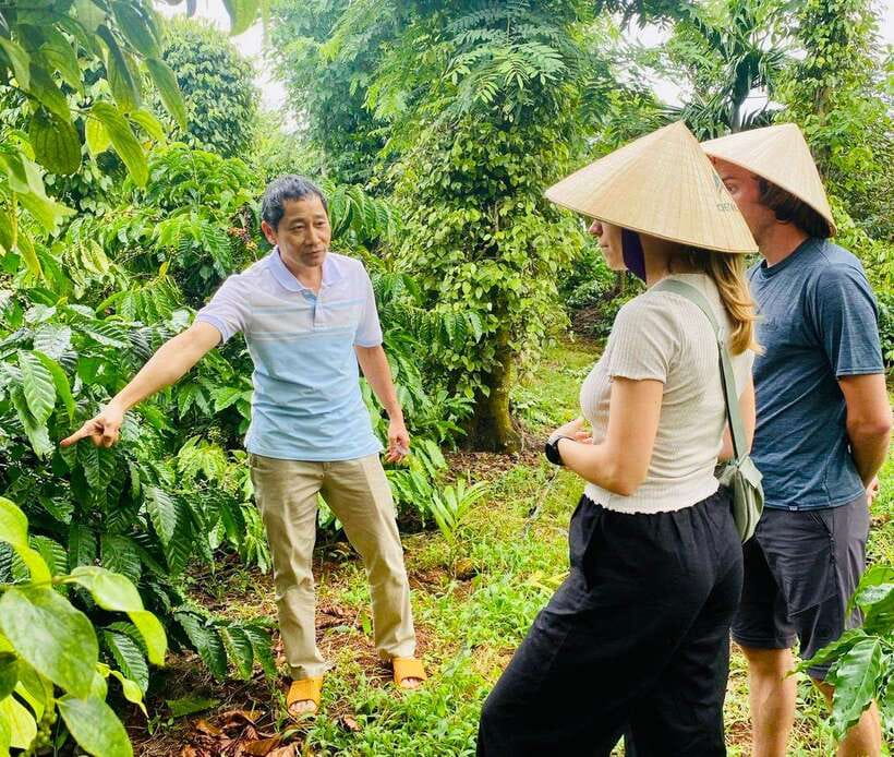 Buon Ma Thuot: Bean to Brew Coffee Farm Tour with Tasting - Walking through the Robusta and Arabica coffee garden