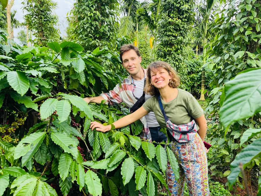 Buon Ma Thuot: Coffee Farm Tour (Bean to Brew) with Pickup - Key points to know before booking