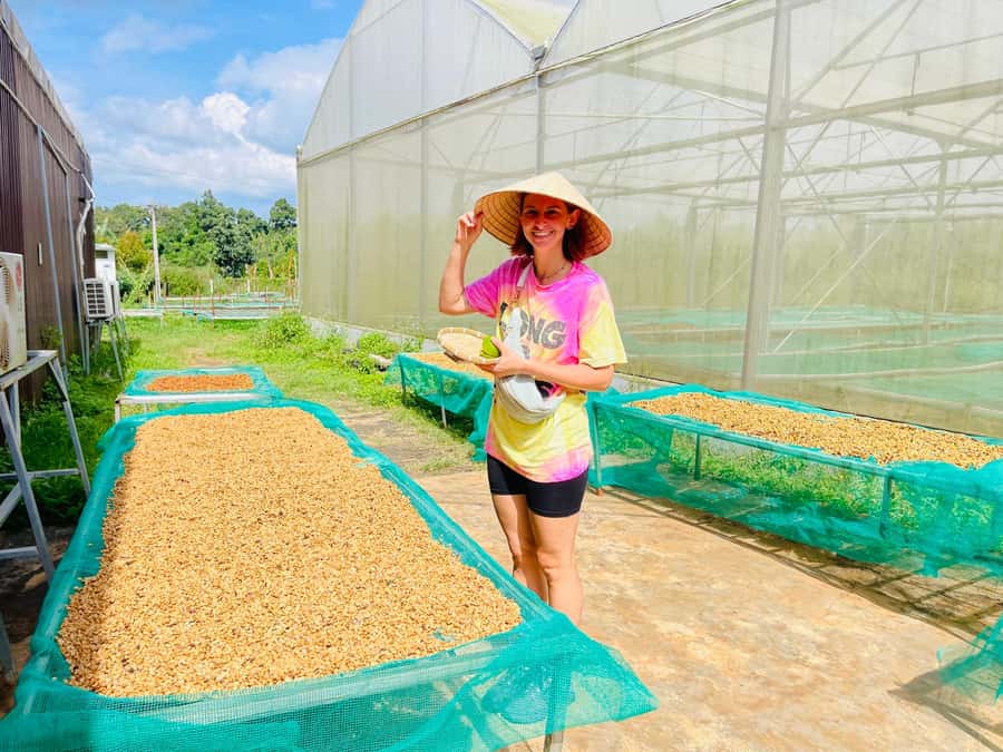 Buon Ma Thuot: Coffee Farm Tour (Bean to Brew) with Pickup - Harvest season changes what you will see