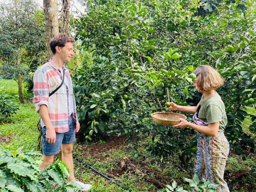 Buon Ma Thuot: Coffee Farm Tour (Bean to Brew) with Pickup - Pickup from Buon Ma Thuot and the short ride out