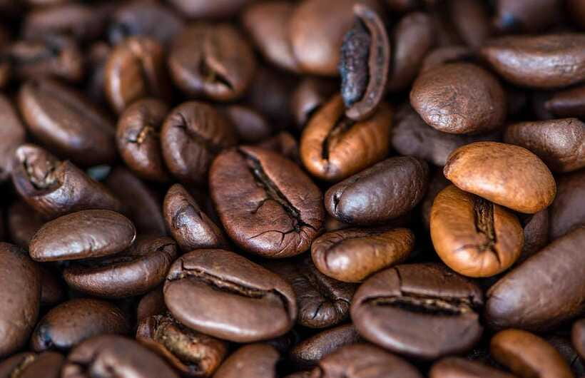 Buon Ma Thuot: Specialty Coffee Tour and Brewing Experience - Making your own specialty coffee at 10:30 AM