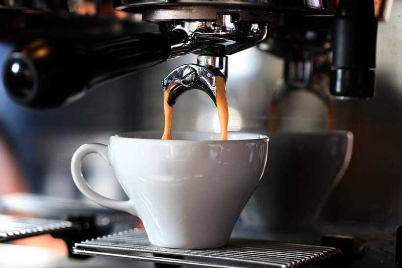 Buon Ma Thuot: Specialty Coffee Tour and Brewing Experience - Who will enjoy this coffee farm experience