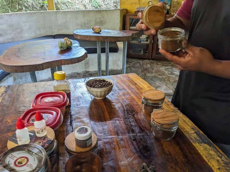 Cacao and Coffee Tour - What the farm adds to the experience