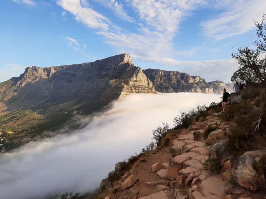 Cape Town: Lion's Head Sunrise with coffee or Sunset Hike - Who should book this hike?