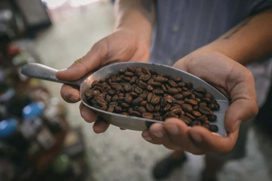 Cartagena Coffee Masterclass: Artisanal Roasting and Brewing - Who should book this experience?
