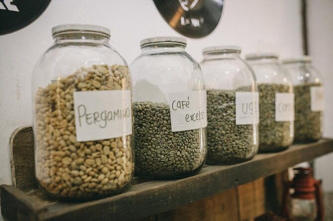 Cartagena Coffee Masters - Four or five cups, several brewing methods