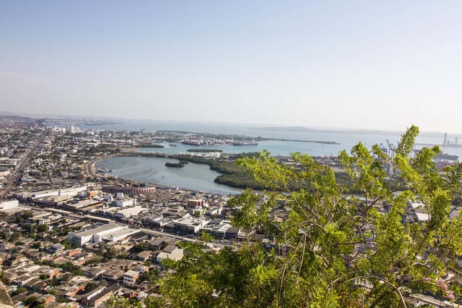 Cartagena: History, Culture & Coffee Experience - Key points to know before booking