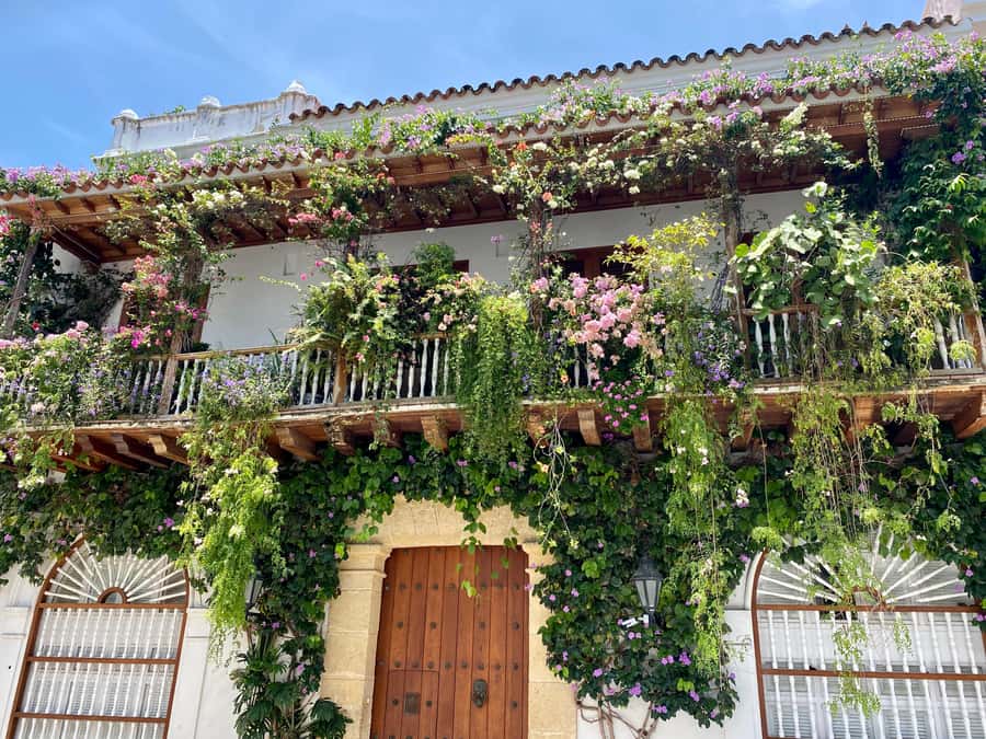 Cartagena: History, Culture & Coffee Experience - Plaza de la Aduana and Cartagena’s colonial power