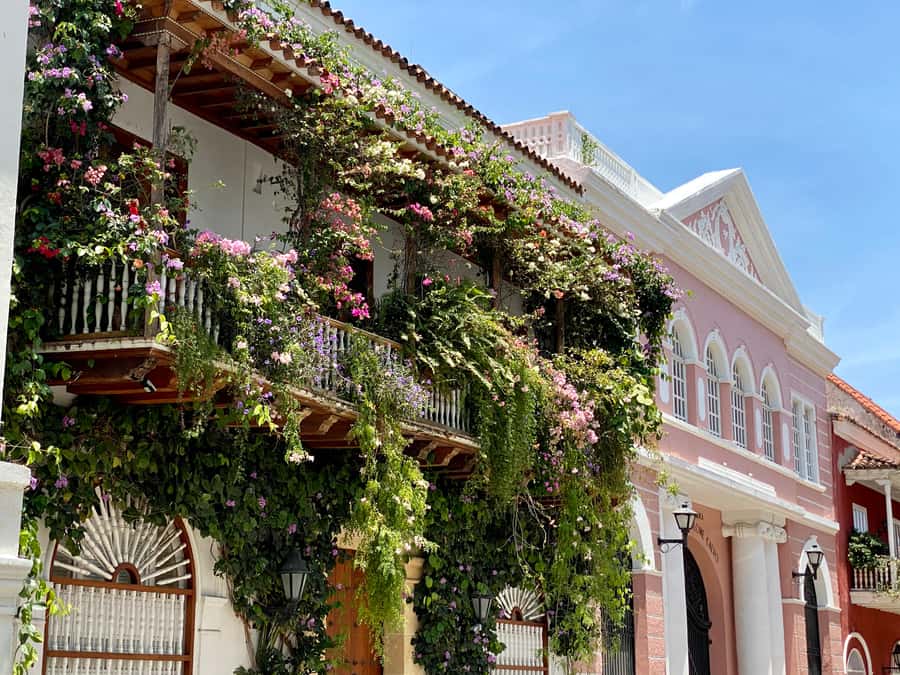 Cartagena: History, Culture & Coffee Experience - San Pedro Claver Church and Plaza de Bolívar