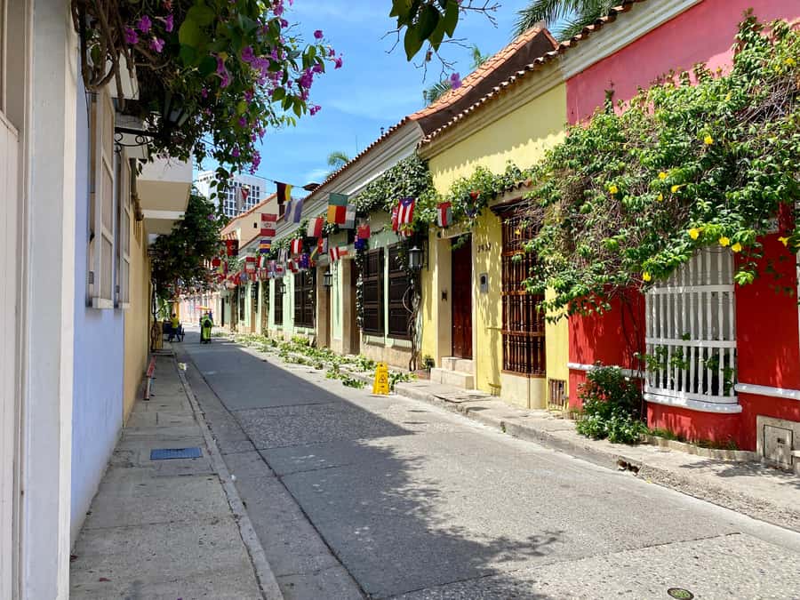 Cartagena: History, Culture & Coffee Experience - Centenario Park and the animals in the city