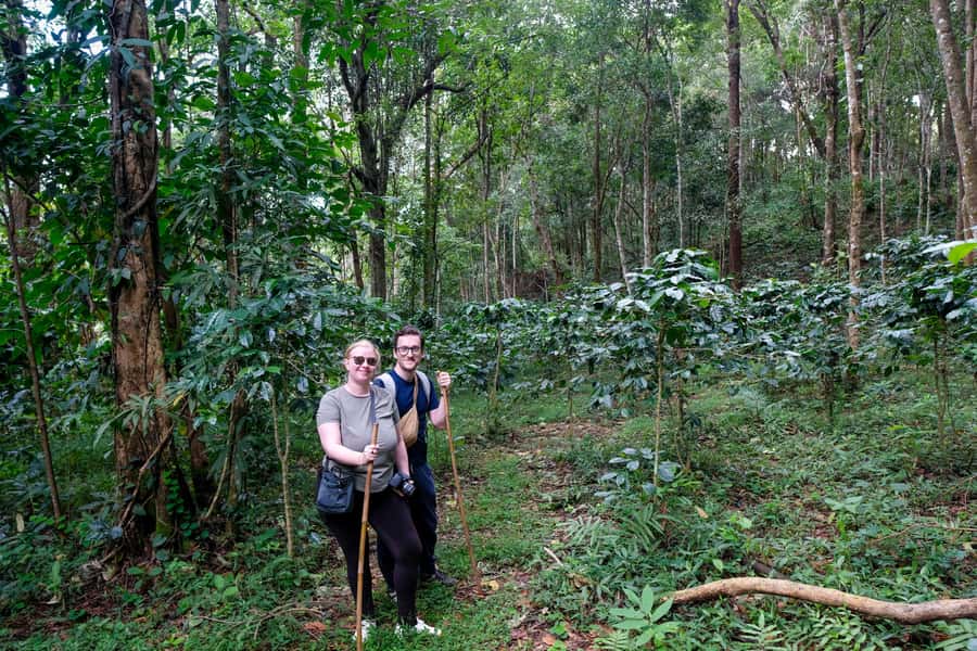 Chiang Mai Coffee Full Day Tour: Trek, Brew & Roast Journey. - Key points at a glance