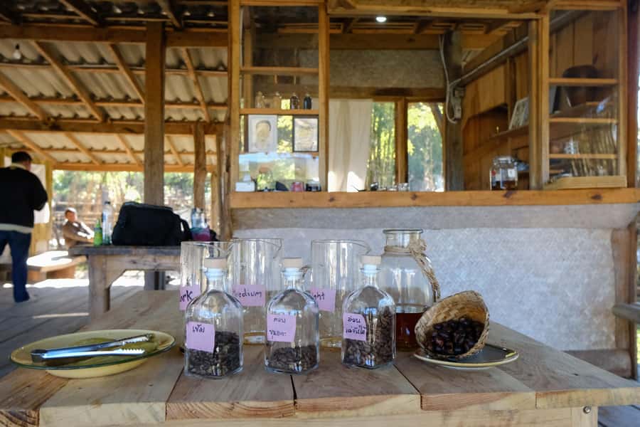 Chiang Mai Coffee Full Day Tour: Trek, Brew & Roast Journey. - A home-cooked vegetarian lunch