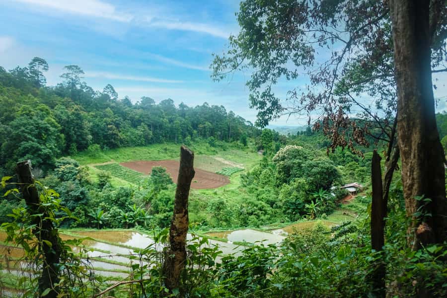 Chiang Mai Coffee Full Day Tour: Trek, Brew & Roast Journey. - Learning the V60 pour-over