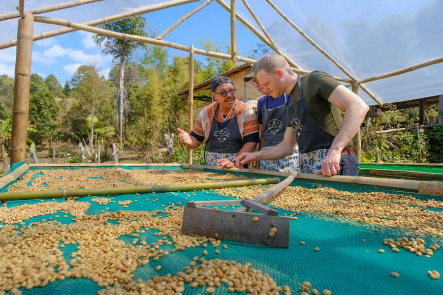 Chiang Mai Coffee Full Day Tour: Trek, Brew & Roast Journey. - What $118 means in practical value
