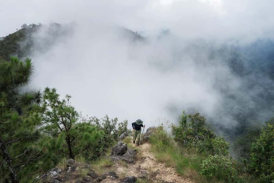 Chiang Mai : Thep Sadet & Coffee Plantation Full Day Hiking - What the $52 price means
