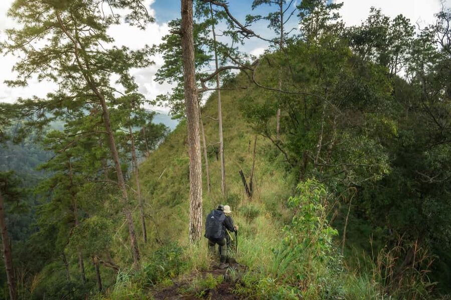 Chiang Mai : Thep Sadet & Coffee Plantation Full Day Hiking - Who should book this hike