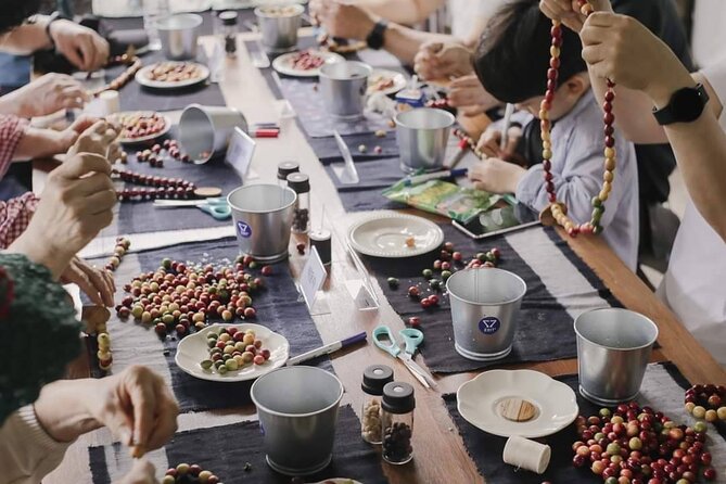 Chiangmai Coffee Farm Tour - Learning What Happens After Harvest