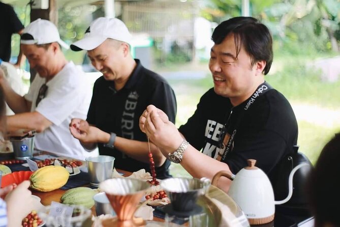 Chiangmai Coffee Farm Tour - Roasting Your Own Beans