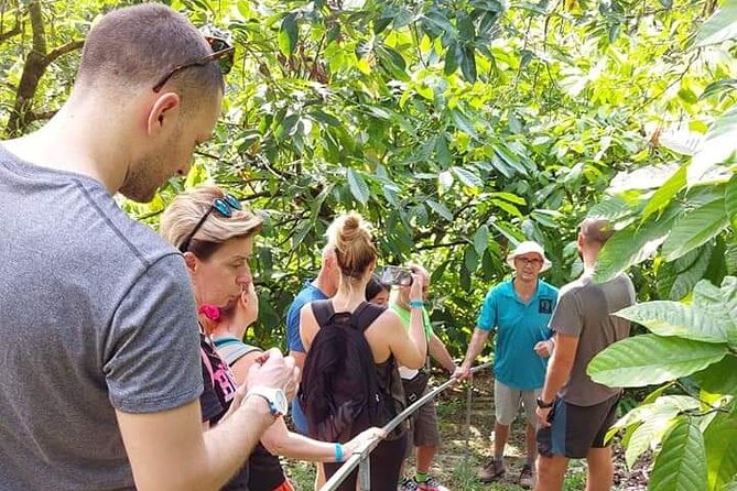 Chocolate and Coffee Tour Farm Don Jorge - Key points to know before booking