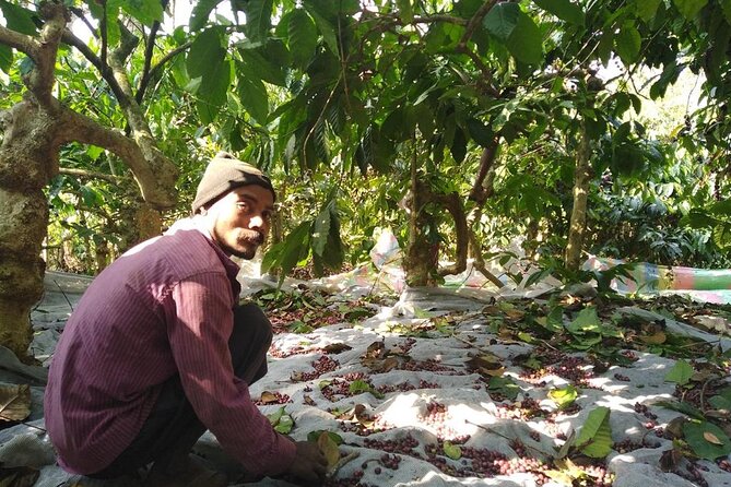 Classic Coorg Coffee Plantation experience - The final 30 minutes: blends, flavors, and a cup at home