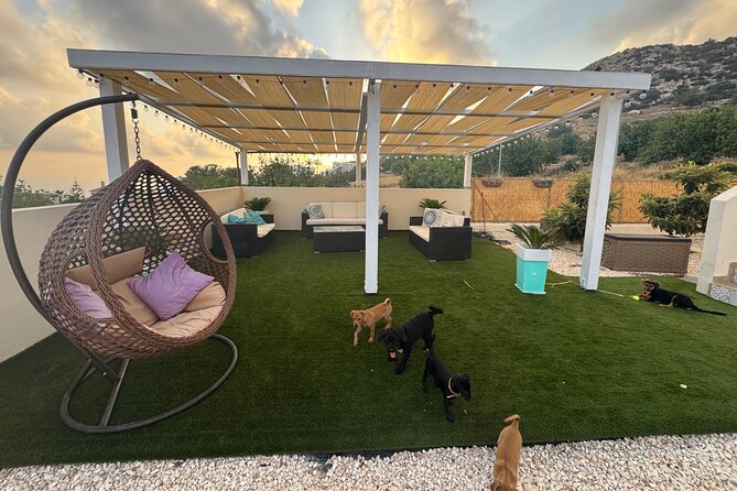 Coffee Cake and Cuddles with Rescue Puppies in a Sea View Villa - A useful choice for families and couples