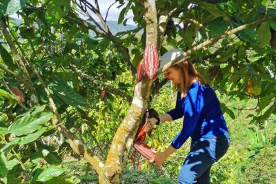 Coffee & Chocolate Private Tour in Medellin: Genuine Experience