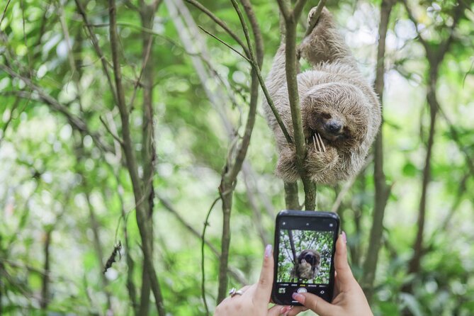 Coffee & Chocolate Tour+Sloths Park & Llanos de Cortez Waterfall - Coffee and cacao from plant to cup