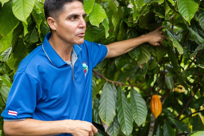 Coffee & Chocolate Tour+Sloths Park & Llanos de Cortez Waterfall - The Bijagua rainforest and its close-up wildlife